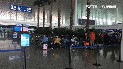 第二批包機返台人數少　關鍵三問題曝