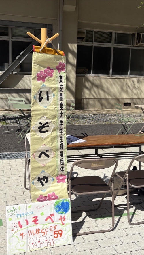 いそべや新歓・仮入会 2026