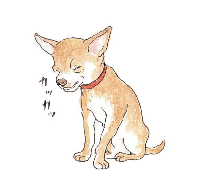 年老いた愛犬の排泄の介護 心の準備をしておこう いぬのきもちnews