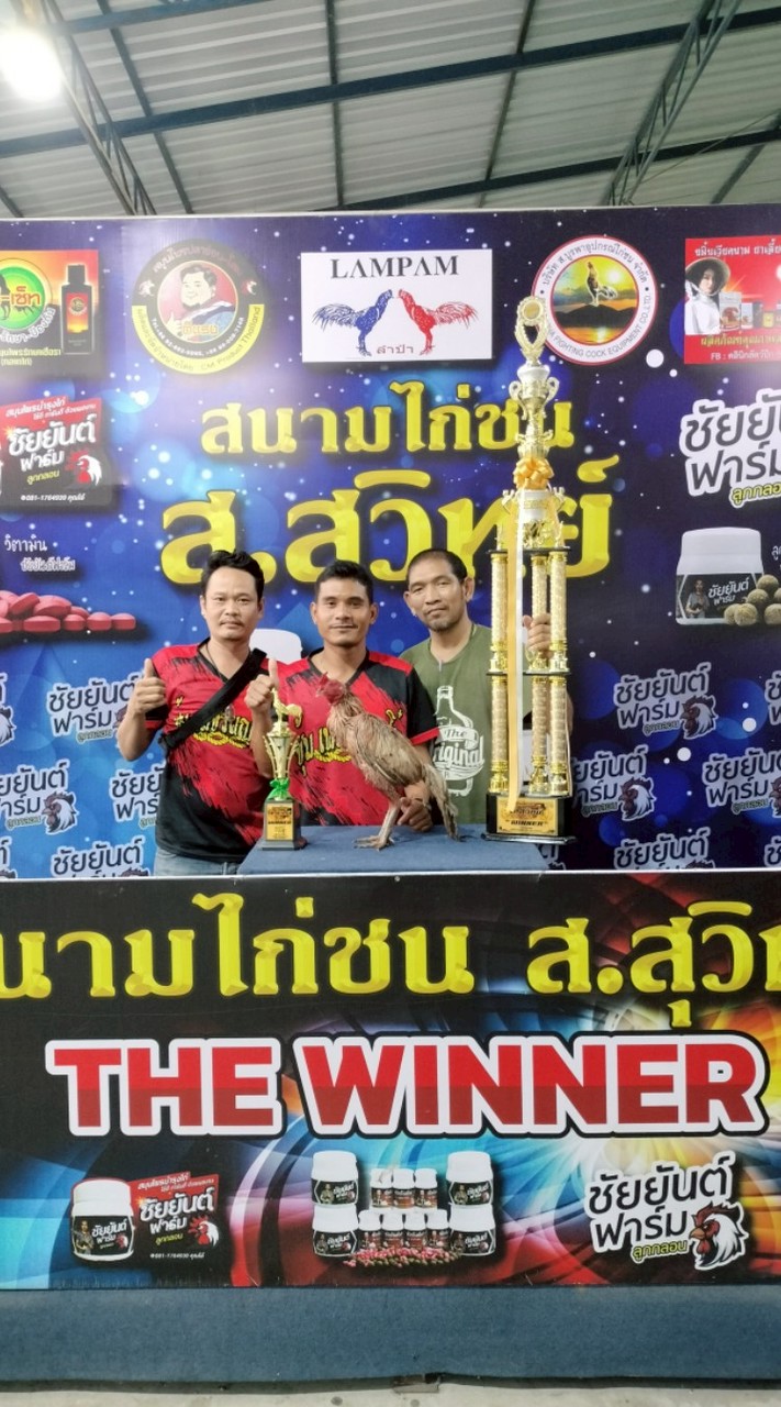 ซุ้ม เพชรพญาโต๋