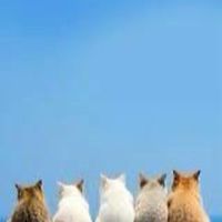 動物飼ってる人、動物好きな人みんな集合！