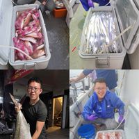 小高手釣鮮魚🎣🐟