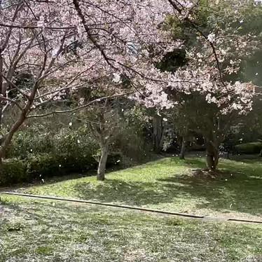 大阪府営 錦織公園のundefinedに実際訪問訪問したユーザーunknownさんが新しく投稿した新着口コミの写真