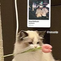 คลังเพลงของอาลี่😻