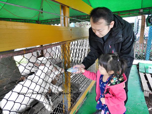 【宜蘭景點】可達羊場 #餵小動物 #羊奶冰淇淋DIY #羊奶下午茶 #宜蘭員山 #宜蘭親子景點 (7).JPG