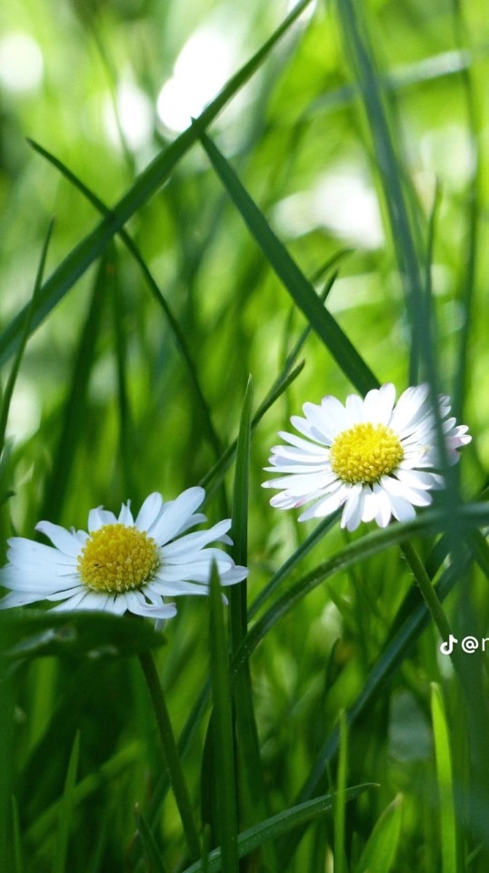 บ้านร้าง👻