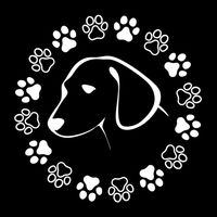 要多黑有多黑；hey dog！