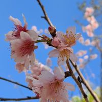 🌸 跟著MeiMom一起買 | 各國嚴選雜貨舖
