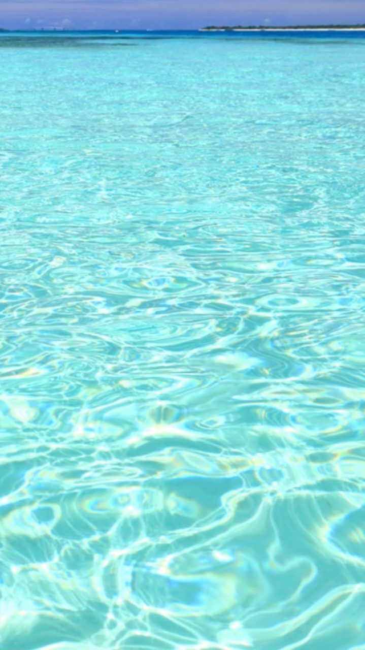 FXで社畜解放達成したらfireして豪遊するプランのスレ