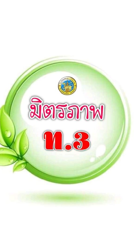 มิตรภาพ ท.3