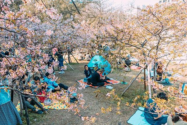 （圖片來源／IG @rwz_504）