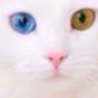 JAPANクリスタルクイーンエンターテインメント全国から世界メンバー🌏結集！