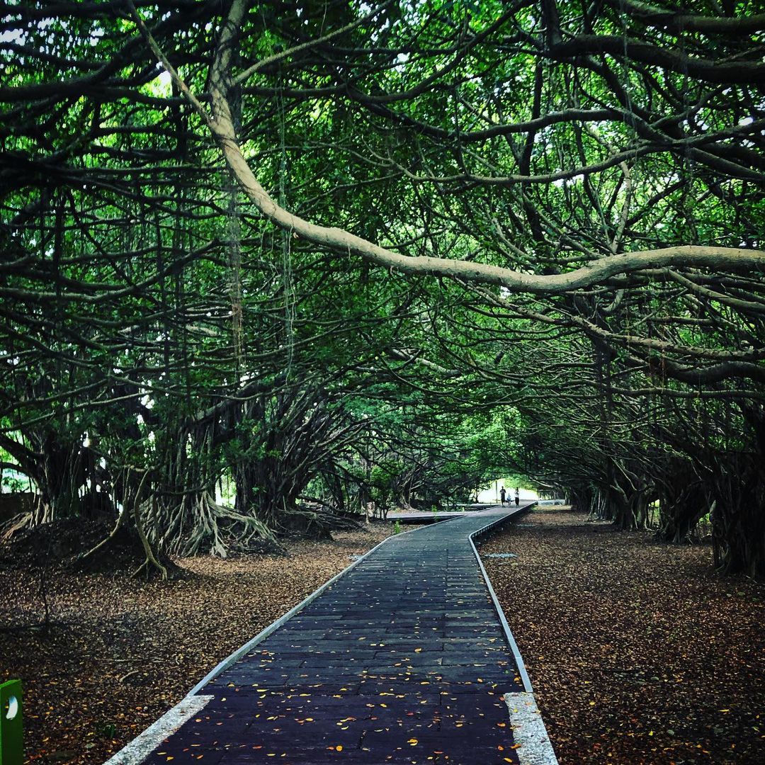 長勝營區 @gaizin