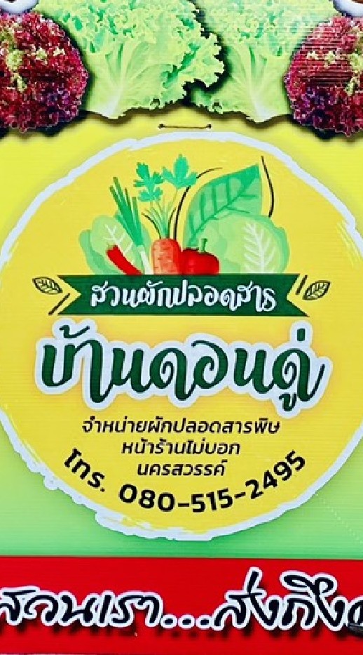 สวนผักปลอดสาร​ บ้า​นดอน​ดู​่​