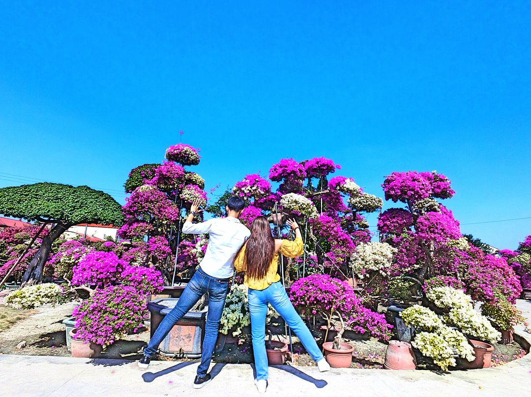 輝豐園藝 @suimin N1