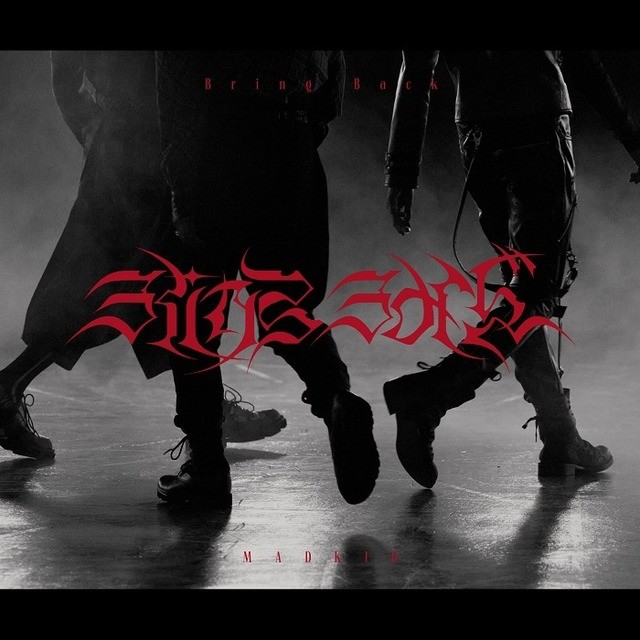 Tvアニメ 盾の勇者の成り上がり Season 2 主題歌 を担当するmadkidにインタビュー 個性が強くバラバラ アンバランスだけどもまとまっているグループです 超 アニメディア