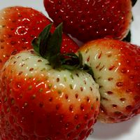 あーるえす情報発信