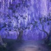 鬼滅の刃 なりきり