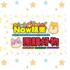 🐹Now購樂✨團購好物😺