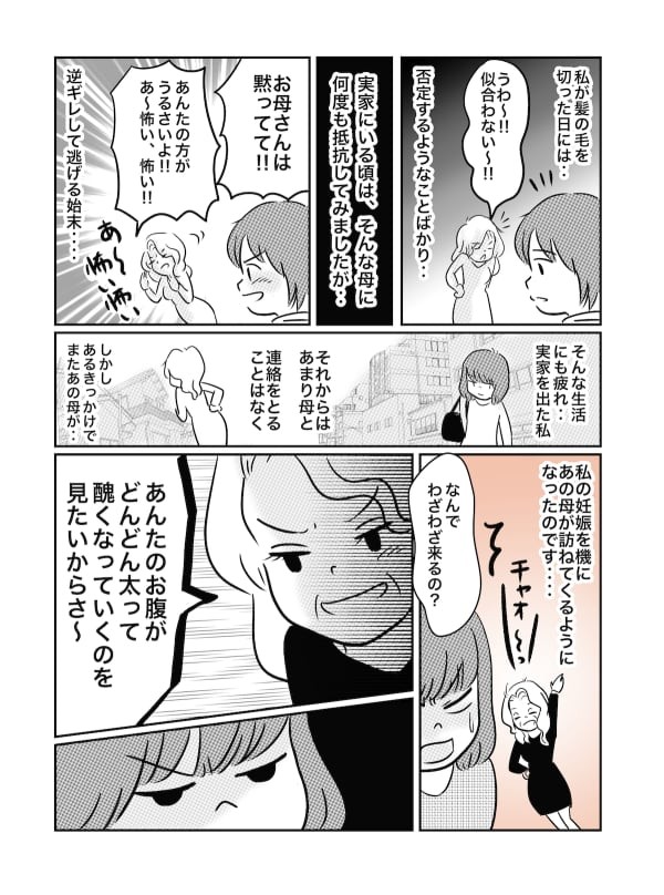 私をバカにしてきた無神経な実母 悪気はないけれどこれも毒親なの 毒親日記