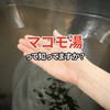 【公式】日本同じ演技連盟