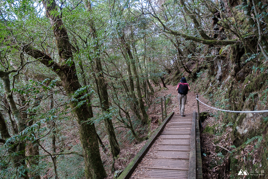 中之關古道-9463.jpg