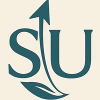 SU虛擬娛樂公司