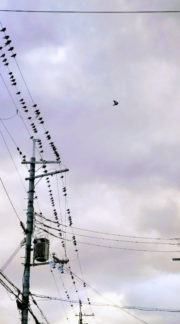 テクノロジー犯罪とは何かを話す会
