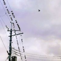 テクノロジー犯罪とは何かを話す会