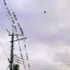 テクノロジー犯罪とは何かを話す会