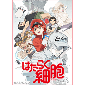 TVアニメ「はたらく細胞!!」Vol.1
