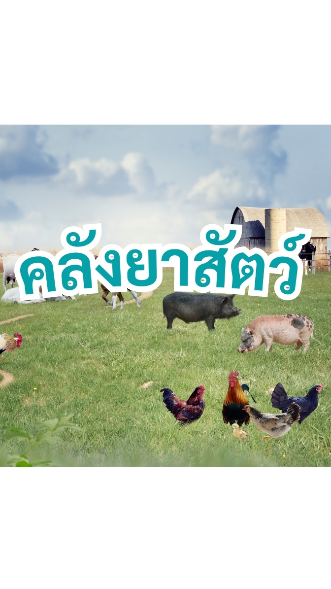 คลังยาสัตว์ ปศุสัตว์ ไก่
