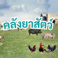 คลังยาสัตว์ ปศุสัตว์ ไก่