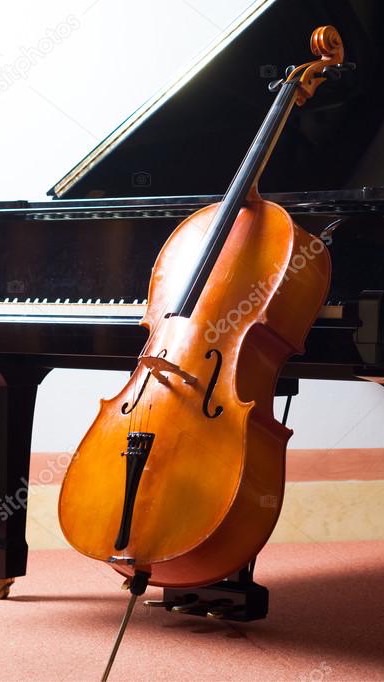 理想的旋律🎶 大提琴🎶🎻