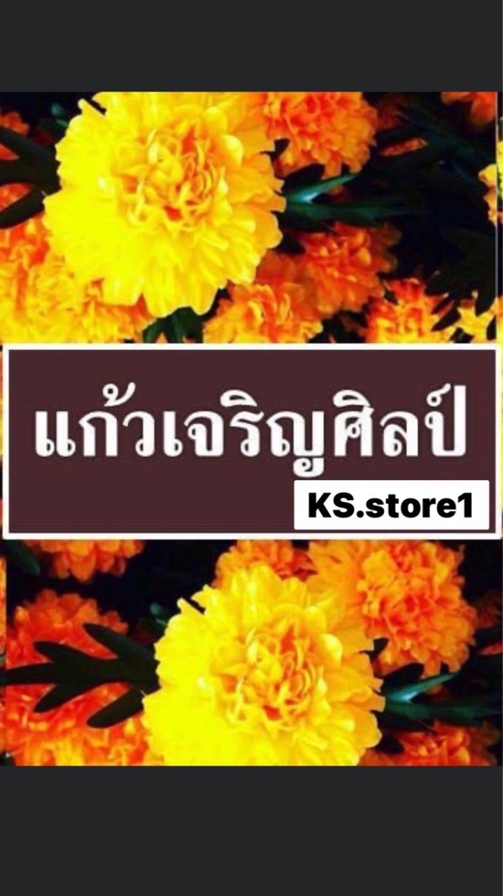 KS.store1