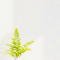 樂玉-慈濟生活群