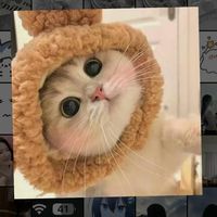 合意味/夜貓子💤/聊天💬/唱歌🎤/打群通