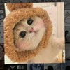 合意味/夜貓子💤/聊天💬/唱歌🎤/打群通