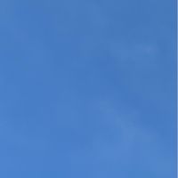 断捨離やらなきゃ友の会