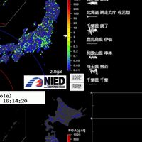 LP地震防災  •  雑談室(LPEN）
