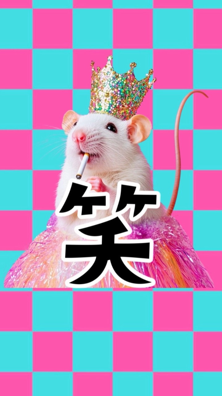 笑フェス2026