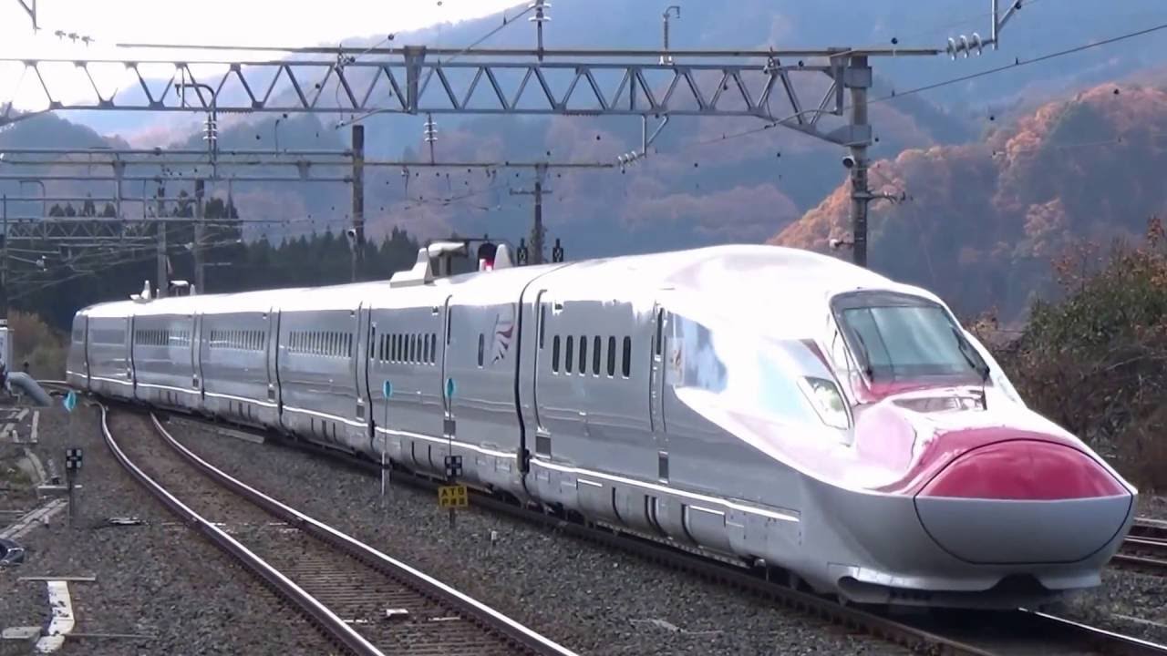 闖入新幹線範圍的 熊 Line購物