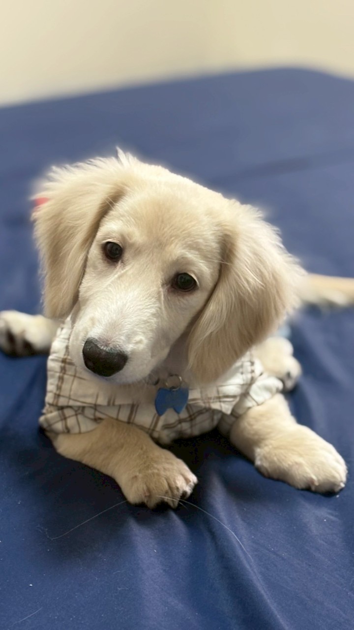 姊妹花🐶團購群