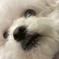檸萌粉絲群，不認識也來聊天，群通