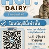 Hui DAIRY