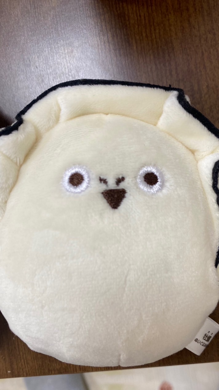 梅原山南ぶどうぐみ。