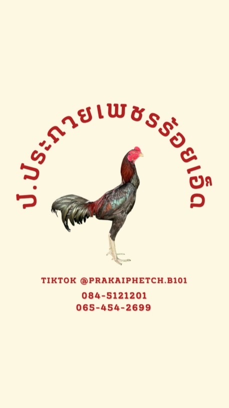 ป.ประกายเพชรร้อยเอ็ด🐔💎✨