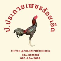 ป.ประกายเพชรร้อยเอ็ด🐔💎✨