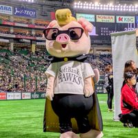 バリカタくん推し集まれー！