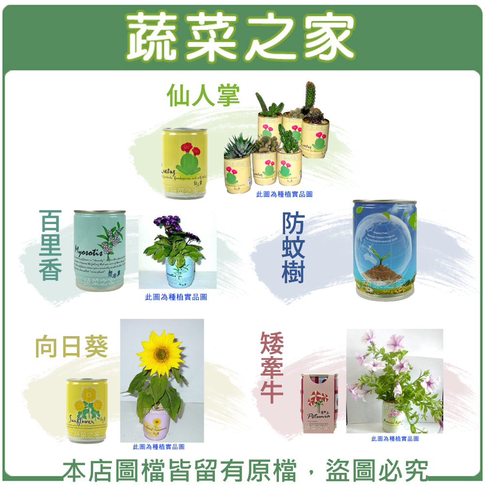 【蔬菜之家】iPlant易開罐花卉-向日葵、矮牽牛、仙人掌、防蚊樹、勿忘草。花與園藝人氣店家蔬菜之家的小品盆栽系列商品有最棒的商品。快到日本NO.1的Rakuten樂天市場的安全環境中盡情網路購物，使